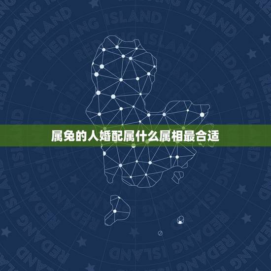 属兔的人婚配属什么属相最合适，属兔的人和什么属相最配，属兔的人和哪个属