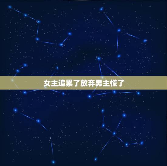 女主追累了放弃男主慌了，女主开始追男主（虐女），后男主伤害女主，女主放