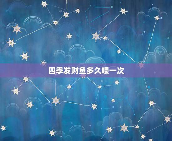 四季发财鱼多久喂一次,关于发财鱼喂食 四季发财鱼多久喂一次,关于发财鱼喂食