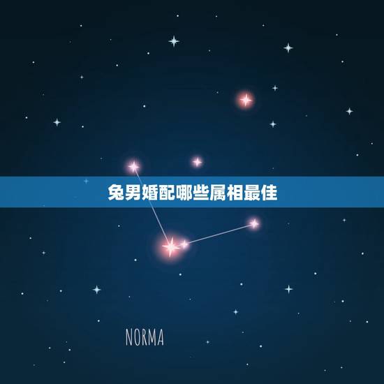 兔男婚配哪些属相最佳，属兔的属相婚配表 揭秘生肖兔和什么最配