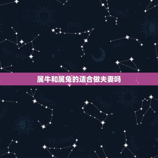 属牛和属兔的适合做夫妻吗，1997牛和1999兔相配吗