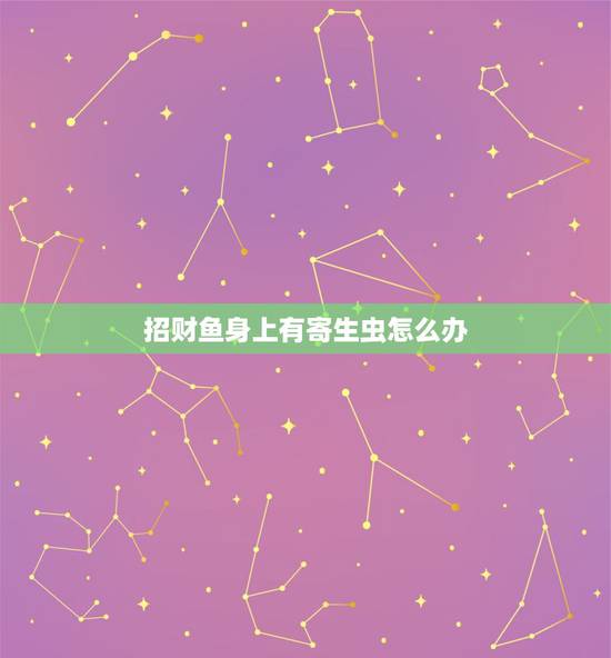 招财鱼身上有寄生虫怎么办,招财身上长黑色寄生虫 招财鱼身上有寄生虫怎么办,招财身上长黑色寄生虫