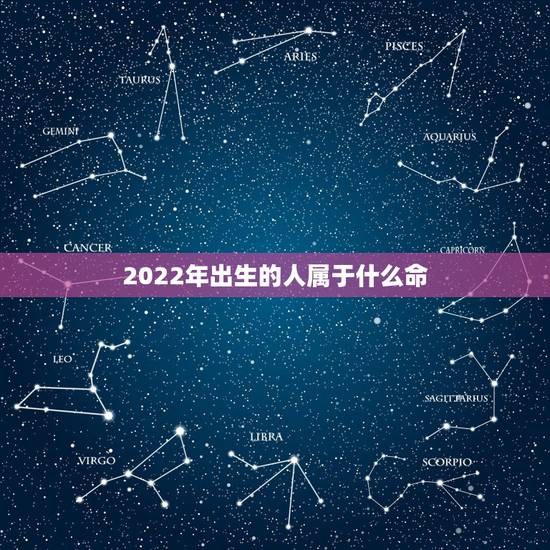 2022年出生的人属于什么命,2022年出生的是属什么命 2022年出生的人属于什么命,2022年出生的是属什么命