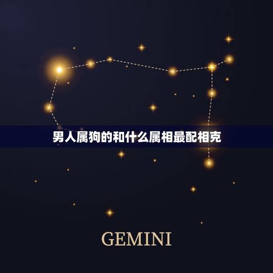男人属狗的和什么属相最配相克(如何选择配偶) 男人属狗的和什么属相最配相克(如何选择配偶)