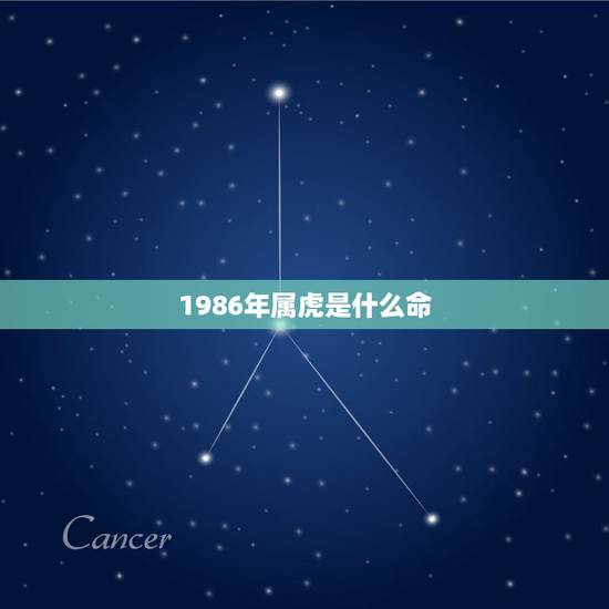 1986年属虎是什么命 1986年生肖虎运势分析