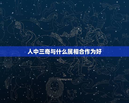 人中三奇与什么属相合作为好，属鼠人和什么属相合作最好