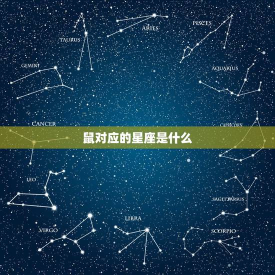鼠对应的星座是什么，属牛是什么星座
