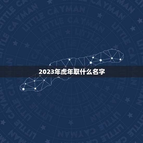 2023年虎年取什么名字 2023年虎宝宝取什么名字最好