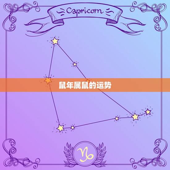 鼠年属鼠的运势