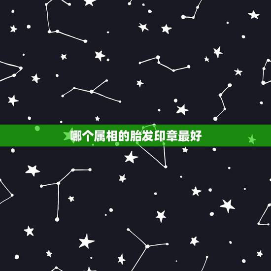哪个属相的胎发印章最好,2021年容易发大财生肖 哪个属相的胎发印章最好,2021年容易发大财生肖