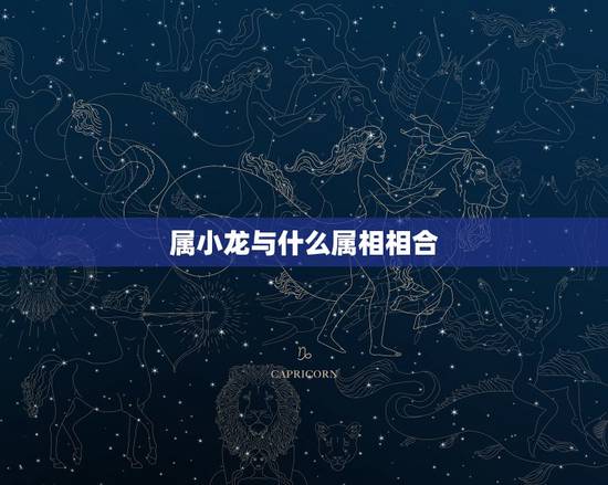 属小龙与什么属相相合，属小龙的和什么属相最配