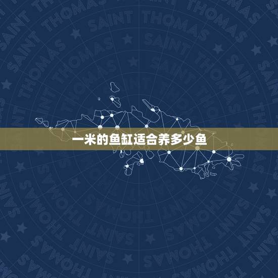 一米的鱼缸适合养多少鱼,1米的鱼缸 能养什么鱼? 小型的话要多少条阿~ 一米的鱼缸适合养多少鱼,1米的鱼缸 能养什么鱼? 小型的话要多少条阿~