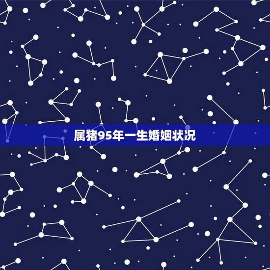 属猪95年一生婚姻状况，95年属猪女婚配表