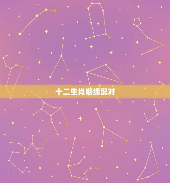十二生肖姻缘配对，12生肖最佳姻缘配对表