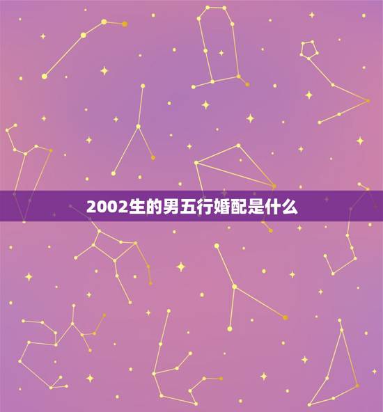 2002生的男五行婚配是什么,男2000年属龙和女2002年属马的结婚 2002生的男五行婚配是什么,男2000年属龙和女2002年属马的结婚