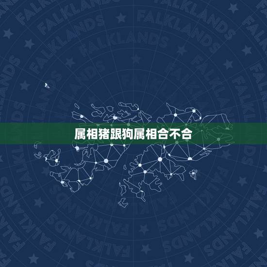 属相猪跟狗属相合不合,属相女猪和女狗犯不犯冲 属相猪跟狗属相合不合,属相女猪和女狗犯不犯冲