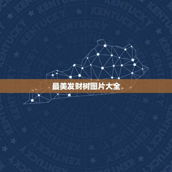 最美发财树图片大全，发财树图片有九叶的吗