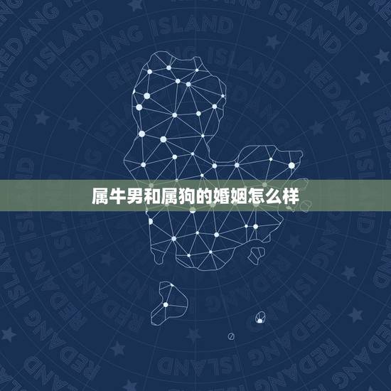 属牛男和属狗的婚姻怎么样，男人属牛跟女人属狗结婚好不