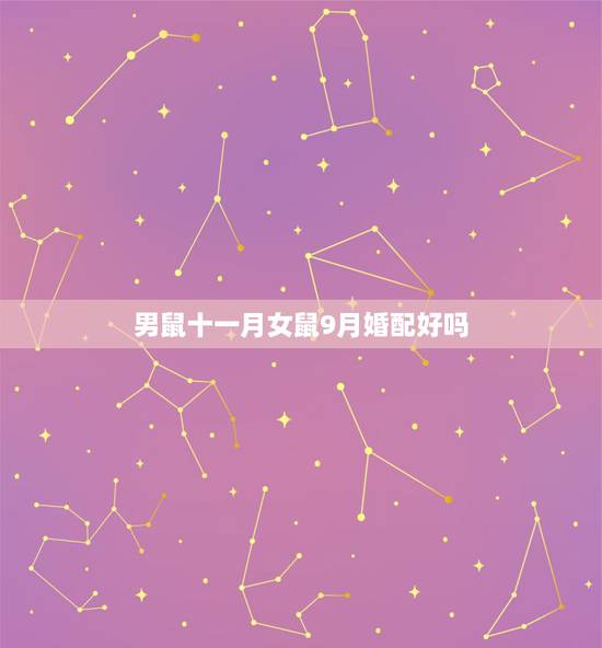 男鼠十一月女鼠9月婚配好吗,旧历九月属鼠男和旧历十一月属鼠女的婚配如何 男鼠十一月女鼠9月婚配好吗,旧历九月属鼠男和旧历十一月属鼠女的婚配如何