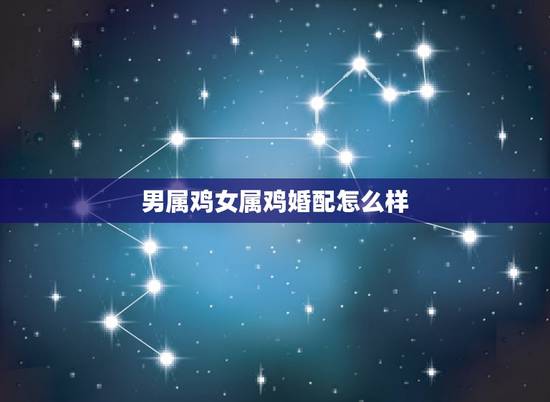 男属鸡女属鸡婚配怎么样,男属鸡的与属什么相配好 男属鸡女属鸡婚配怎么样,男属鸡的与属什么相配好