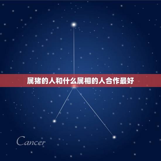 属猪的人和什么属相的人合作最好，属猪人和哪个属相的人合作好
