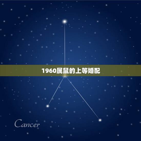 1960属鼠的上等婚配,属鼠和属鼠的婚配好吗 1960属鼠的上等婚配,属鼠和属鼠的婚配好吗