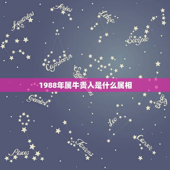 1988年属牛贵人是什么属相,属牛的人羊年贵人是哪个生肖 1988年属牛贵人是什么属相,属牛的人羊年贵人是哪个生肖