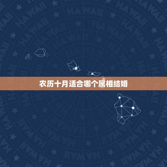 农历十月适合哪个属相结婚,1996年鼠属相阴历十月结婚好日子是哪天 农历十月适合哪个属相结婚,1996年鼠属相阴历十月结婚好日子是哪天