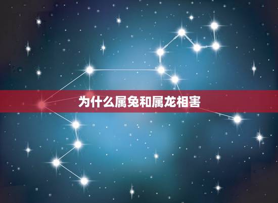 为什么属兔和属龙相害,属兔的人和什么属相最配 为什么属兔和属龙相害,属兔的人和什么属相最配