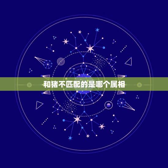 和猪不匹配的是哪个属相，属猪的跟什么属相不和