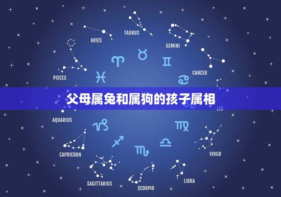父母属兔和属狗的孩子属相,属狗和属兔生什么属相的宝宝 父母属兔和属狗的孩子属相,属狗和属兔生什么属相的宝宝