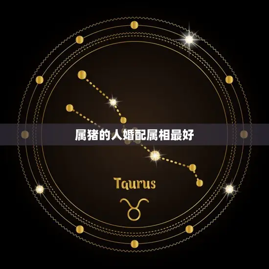属猪的人婚配属相最好 属猪的人婚配属相最好