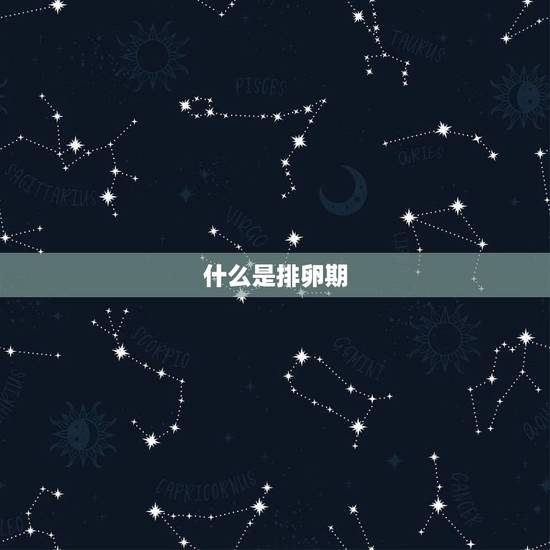 什么是排卵期,只是在边上摩擦了没进去会怀吗 什么是排卵期,只是在边上摩擦了没进去会怀吗