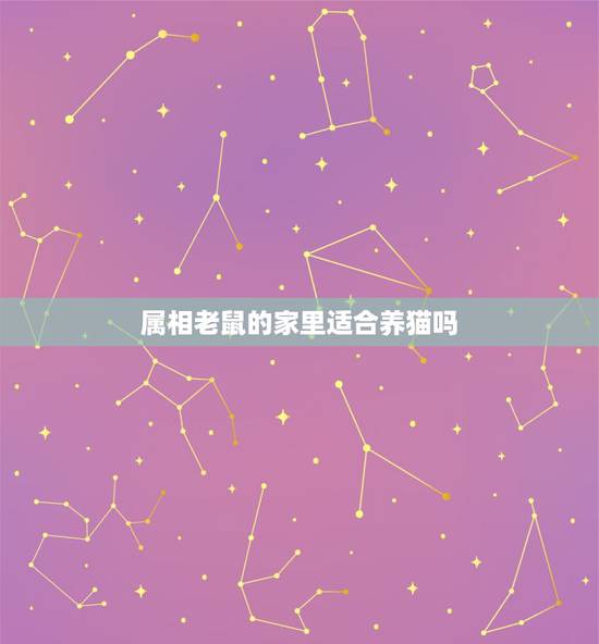 属相老鼠的家里适合养猫吗，小孩属老鼠家里不能养猫吗