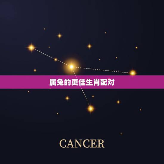 属兔的更佳生肖配对，属兔婚姻生肖配对