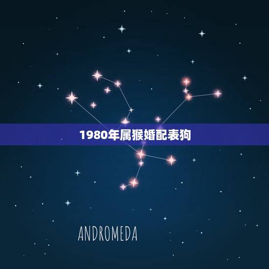 1980年属猴婚配表狗,属猴和属狗的配吗,猴和狗配吗 1980年属猴婚配表狗,属猴和属狗的配吗,猴和狗配吗