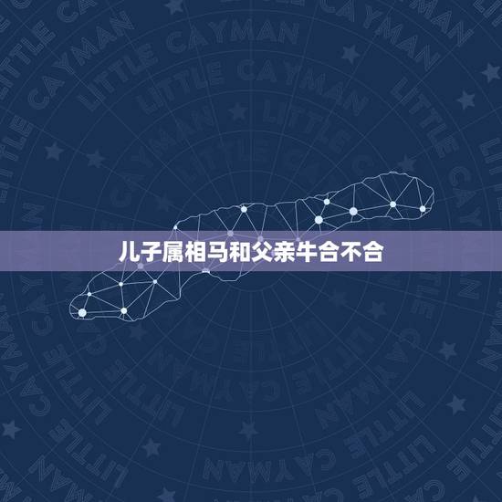 儿子属相马和父亲牛合不合，父亲属马孩子属牛和不和
