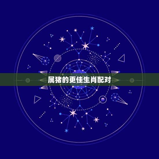 属猪的更佳生肖配对，属牛的更佳生肖配对