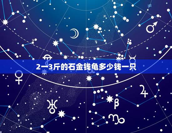 2一3斤的石金钱龟多少钱一只，3.3斤的野生石金钱龟多少钱一只？