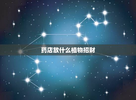 药店放什么植物招财，店里放什么花草旺财？