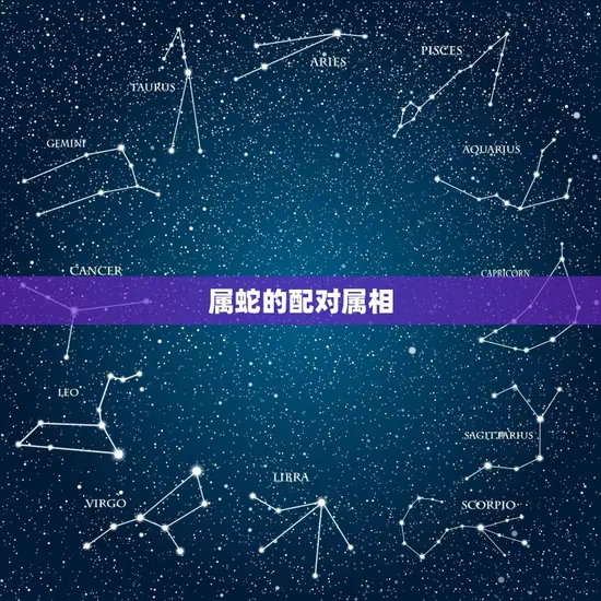 属蛇的配对属相 属蛇的配对属相
