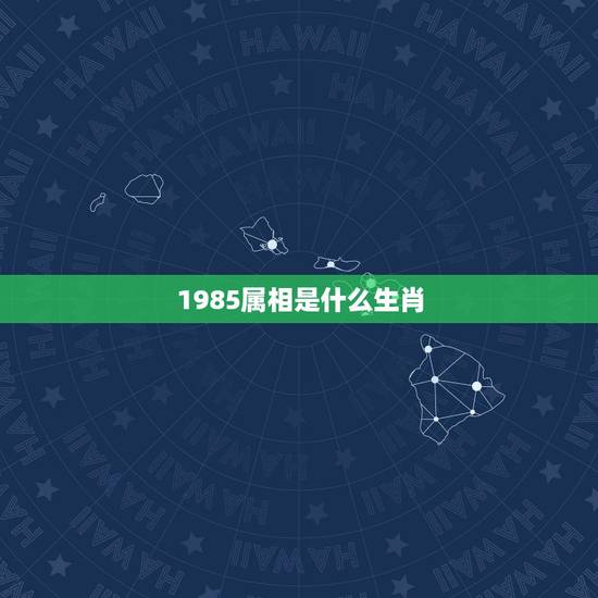 1985属相是什么生肖，1985年生肖及范围是什么？