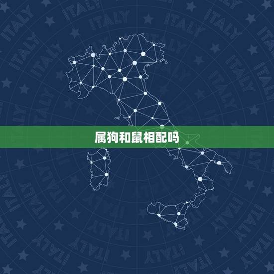 属狗和鼠相配吗，生肖狗狗跟老鼠配不配