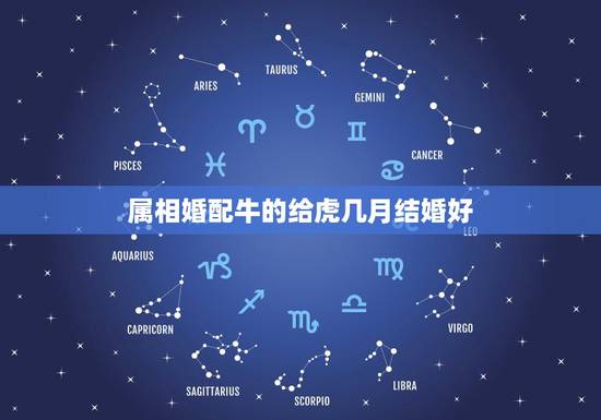 属相婚配牛的给虎几月结婚好,属牛与属虎今年几月结婚的好日子 属相婚配牛的给虎几月结婚好,属牛与属虎今年几月结婚的好日子