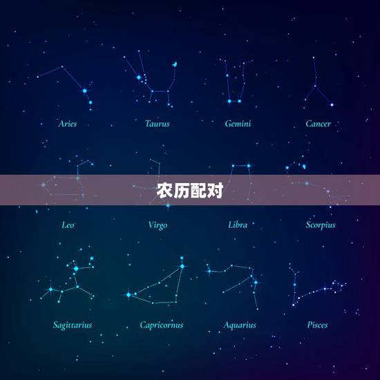 农历配对，农历19690126是什么星座配对？
