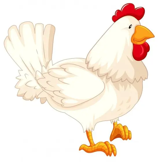 属鸡明日的运程幸运数字(揭秘助你顺利度过一天) 属鸡明日的运程幸运数字(揭秘助你顺利度过一天)
