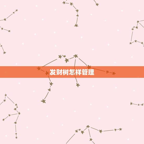 发财树怎样管理，发财树的管理要点是什么？