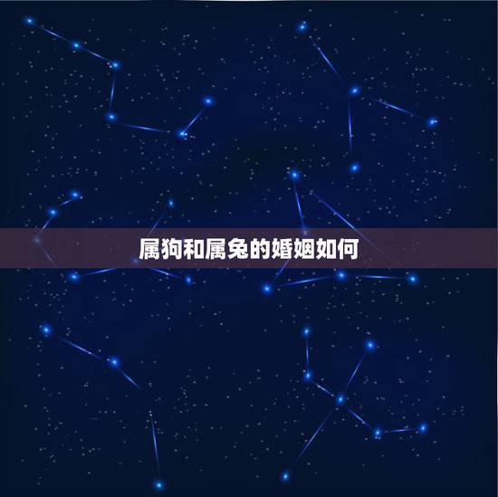 属狗和属兔的婚姻如何,属兔女和属狗男配吗 属狗和属兔的婚姻如何,属兔女和属狗男配吗