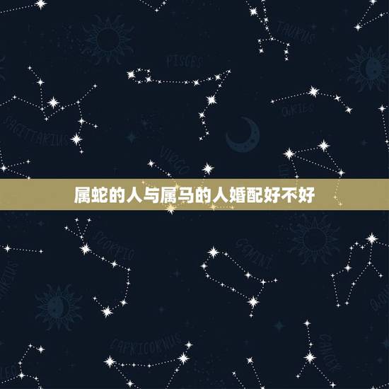 属蛇的人与属马的人婚配好不好，属蛇的和属马的婚配怎么样？
