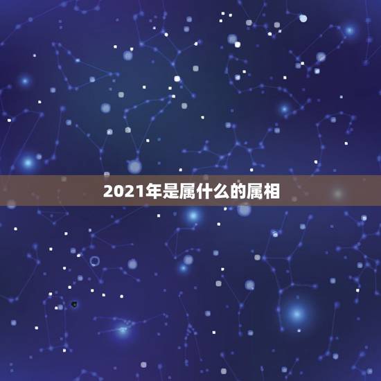 2021年是属什么的属相，2021年属什么生肖？